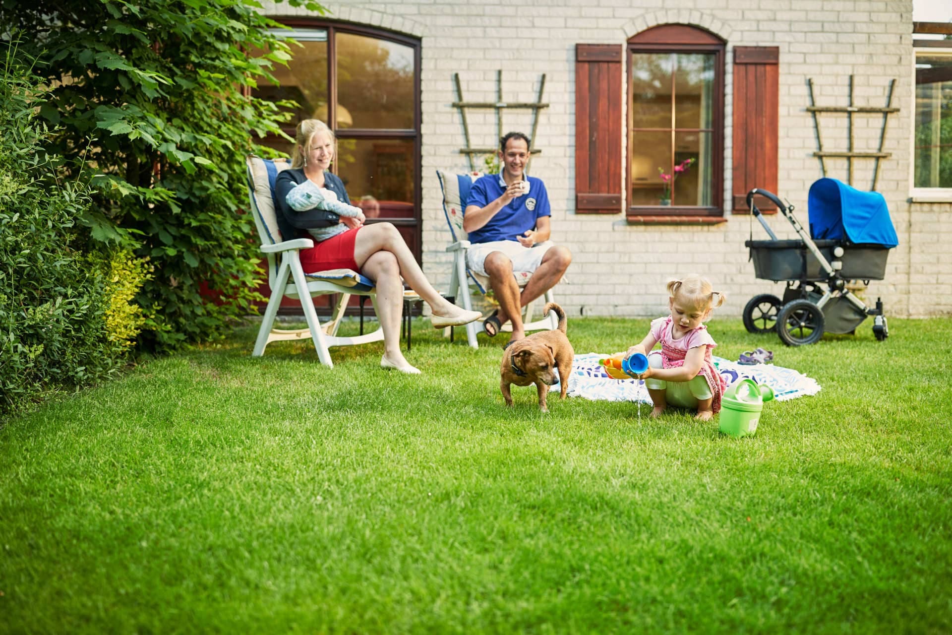 Traumhafte Optionen für dein Ferienhaus in Holland mit Hund am Meer – Direkt am Strand oder nah an den Dünen