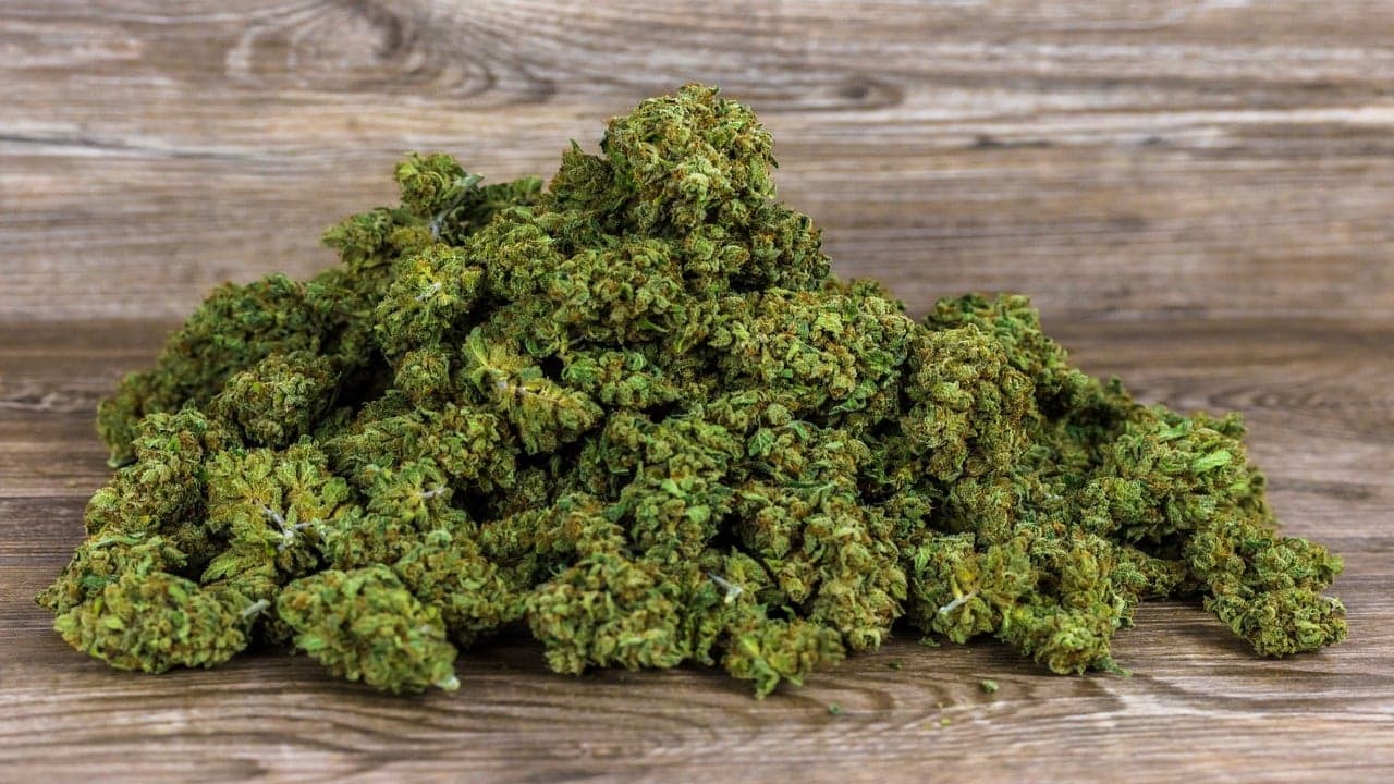 Die Wissenschaft hinter den Genetiken von Cannabis Samen