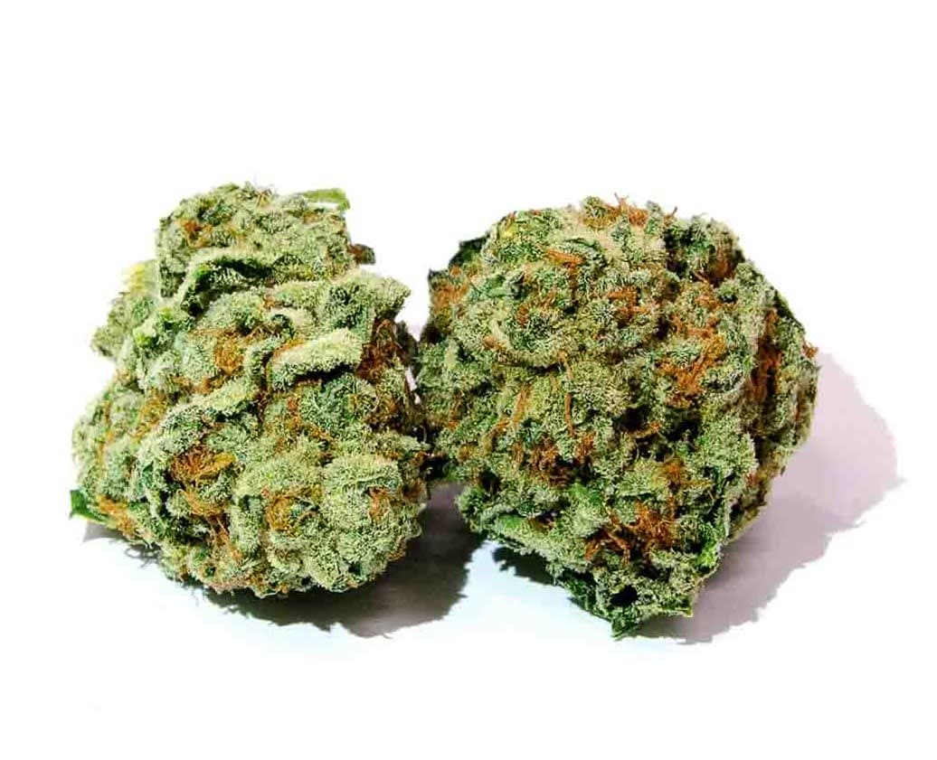 Warum Cannabis Sativa in keinem Hanfshop fehlen darf