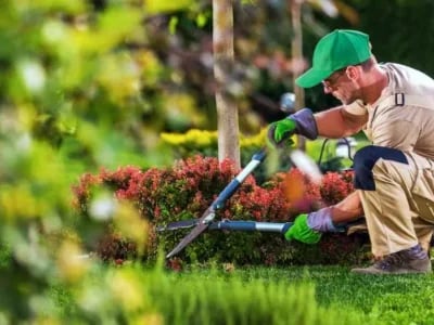 Von der Planung bis zur Pflege – umfassender Gartenbau Wolfenbüttel
