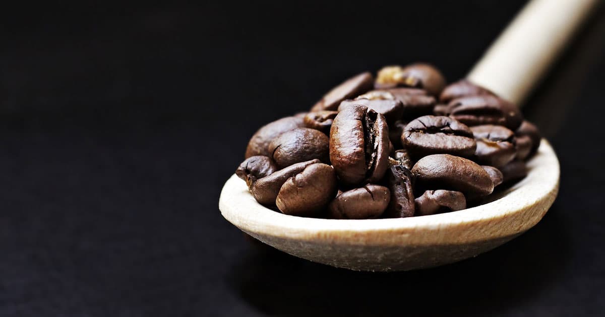 Espressobohnen: Qualität trifft auf Leidenschaft