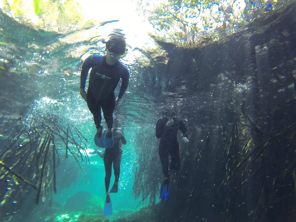 Tauchschule Playa del Carmen: Unvergessliche Unterwasser-Momente