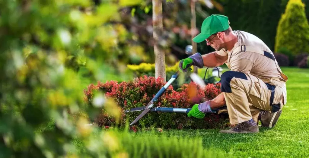 Von der Planung bis zur Pflege – umfassender Gartenbau Wolfenbüttel