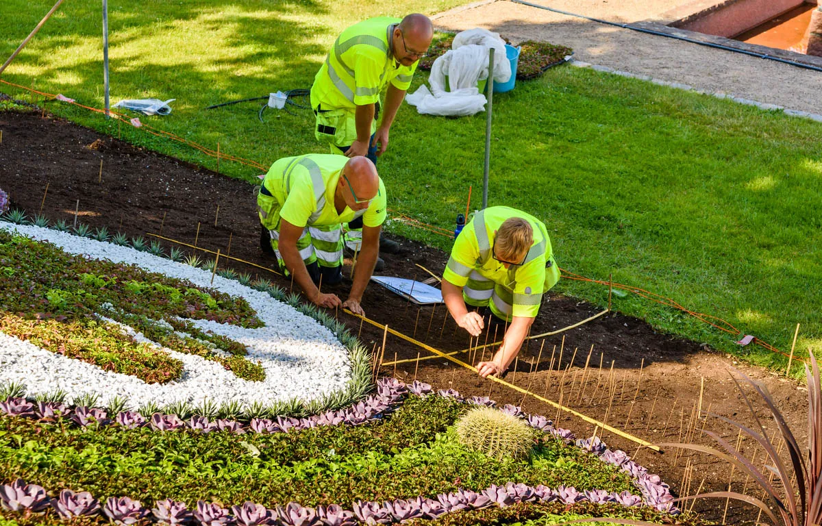 Von der Planung bis zur Pflege – umfassender Gartenbau Wolfenbüttel